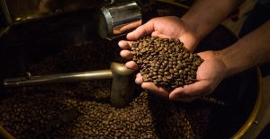 Hands holding coffee beans over coffee roaster