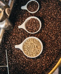 Coffee beans in roaster with lighter to darker beans in three mugs